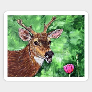 Funny Deer Painting Sticker